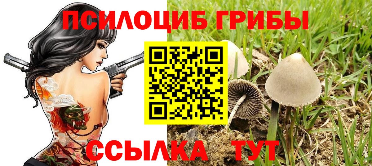 наркошоп  Галлюциногенные грибы прущие грибы  Советск  Вход с VPN  Псилоцибиновые грибы MAGIC MUSHROOMS 